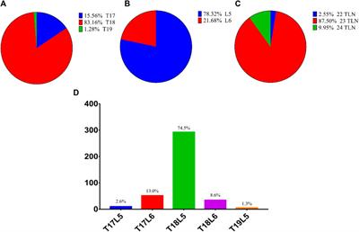 Identification of LTBP2 gene polymorphisms and their association with thoracolumbar vertebrae number, body size, and carcass traits in Dezhou donkeys